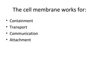 The cell membrane works for: Containment Transport Communication Attachment 