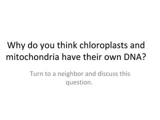 Why do you think chloroplasts and mitochondria have their own DNA?  Turn to a neighbor and discuss this question.  