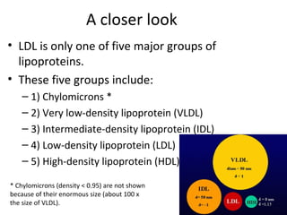 A closer look LDL is only one of five major groups of lipoproteins.  These five groups include: 1) Chylomicrons * 2) Very low-density lipoprotein (VLDL)  3) Intermediate-density lipoprotein (IDL) 4) Low-density lipoprotein (LDL)  5) High-density lipoprotein (HDL) * Chylomicrons (density < 0.95) are not shown because of their enormous size (about 100 x the size of VLDL).  