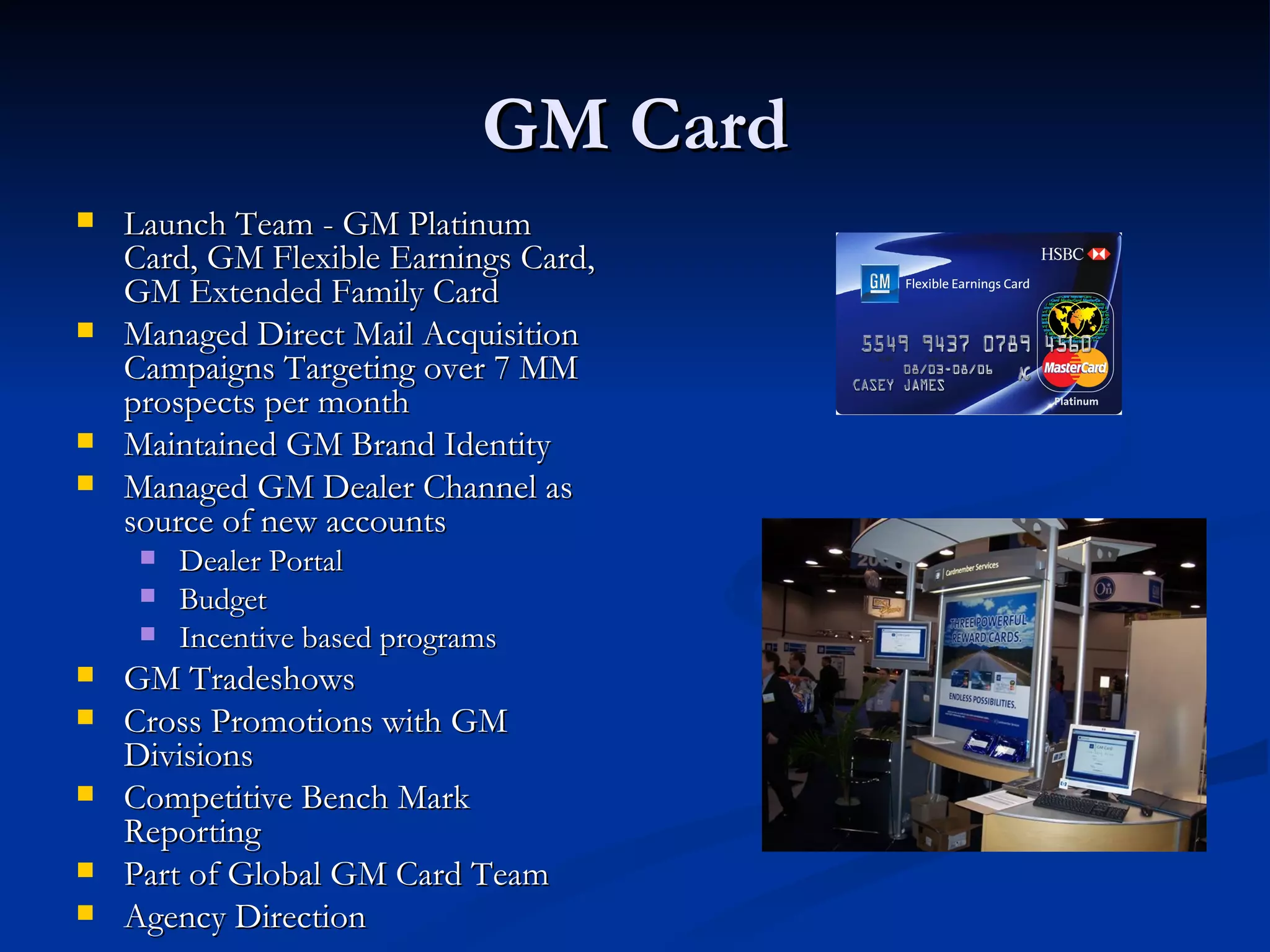 chris-mink-professional-summary-ppt