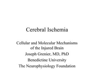 Cerebral Ischemia Cellular and Molecular Mechanisms of the Injured Brain Joseph Grenier, MD, PhD Benedictine University The Neurophysiology Foundation 