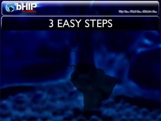 Bhip Global Opportunity