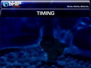 Bhip Global Opportunity