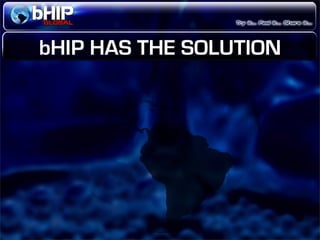 Bhip Global Opportunity