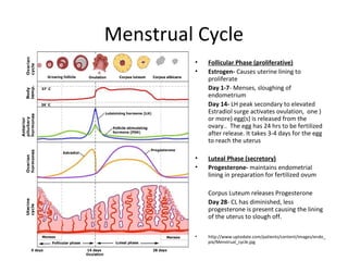 Menstrual Cycle
• Follicular Phase (proliferative)
• Estrogen- Causes uterine lining to
proliferate
Day 1-7- Menses, sloughing of
endometrium
Day 14- LH peak secondary to elevated
Estradiol surge activates ovulation, one )
or more) egg(s) is released from the
ovary.. The egg has 24 hrs to be fertilized
after release. It takes 3-4 days for the egg
to reach the uterus
• Luteal Phase (secretory)
• Progesterone- maintains endometrial
lining in preparation for fertilized ovum
Corpus Luteum releases Progesterone
Day 28- CL has diminished, less
progesterone is present causing the lining
of the uterus to slough off.
• http://www.uptodate.com/patients/content/images/endo_
pix/Menstrual_cycle.jpg
 