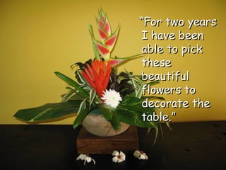 “ For two years I have been able to pick these beautiful flowers to decorate the table.” 