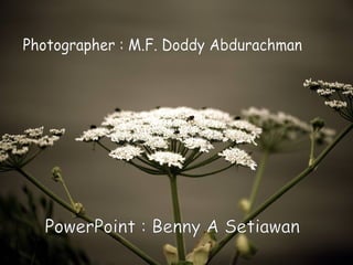 Photographer : M.F. Doddy Abdurachman PowerPoint : Benny A Setiawan 