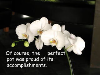 Of course, the  perfect pot was proud of its accomplishments.  