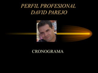 PERFIL PROFESIONAL  DAVID PAREJO CRONOGRAMA 