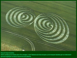 Aucune trace humaine. Autre constat qui en laisse plus d'un songeur, c'est l'absence de trace de pas ou de marques laissées par un instrument pouvant expliquer la mise en œuvre de ces dessins. 