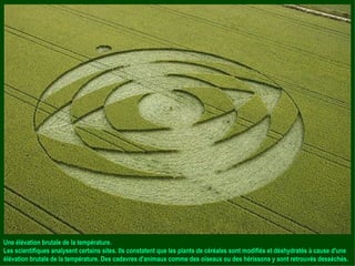 Une élévation brutale de la température. Les scientifiques analysent certains sites. Ils constatent que les plants de céréales sont modifiés et déshydratés à cause d'une élévation brutale de la température. Des cadavres d'animaux comme des oiseaux ou des hérissons y sont retrouvés desséchés. 