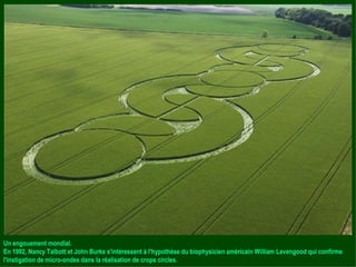 Un engouement mondial. En 1992, Nancy Talbott et John Burke s'intéressent à l'hypothèse du biophysicien américain William Levengood qui confirme l'instigation de micro-ondes dans la réalisation de crops circles. 