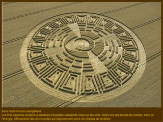 Sous haute tension énergétique Les trois associés révèlent la présence d'isotopes radioactifs rares sur les sites. Selon eux des boules de lumière, donc de l'énergie, diffuseraient des micro-ondes qui façonneraient alors les champs de céréales. 