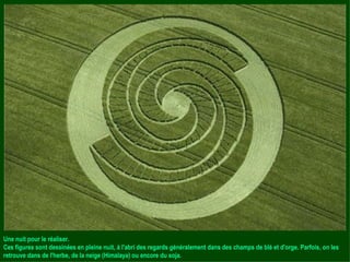 Une nuit pour le réaliser. Ces figures sont dessinées en pleine nuit, à l'abri des regards généralement dans des champs de blé et d'orge. Parfois, on les retrouve dans de l'herbe, de la neige (Himalaya) ou encore du soja. 