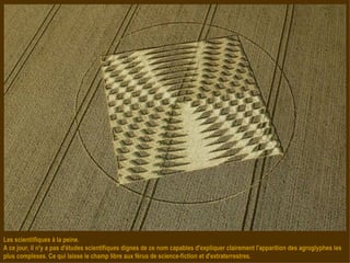 Les scientiifiques à la peine. A ce jour, il n'y a pas d'études scientifiques dignes de ce nom capables d'expliquer clairement l'apparition des agroglyphes les plus complexes. Ce qui laisse le champ libre aux férus de science-fiction et d'extraterrestres. 
