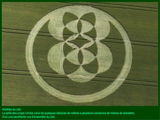 Visibles du ciel. La taille des crops circles varie de quelques dizaines de mètres à plusieurs centaines de mètres de diamètre, d'où une excellente vue d'ensemble du ciel. 