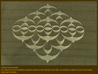 L'été de tous les excès. Les auteurs de ces incroyables sculptures opèrent en été, période où les blés, les céréales en général, sont les plus hauts, juste avant la récolte. 