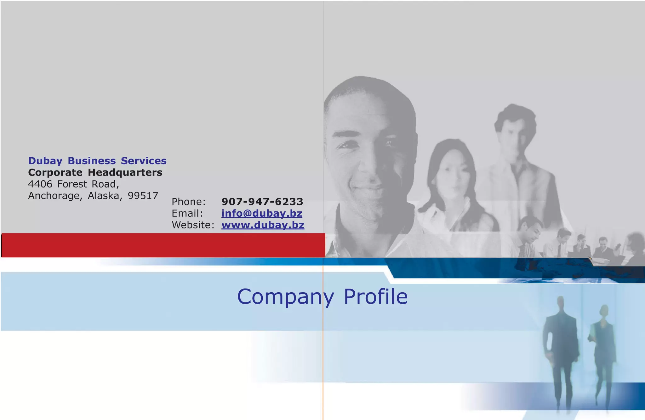 Dbs Company Profile