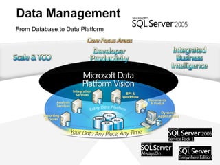 Data Management From Database to Data Platform 