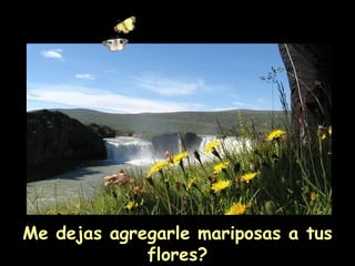 Me dejas agregarle mariposas a tus flores? 