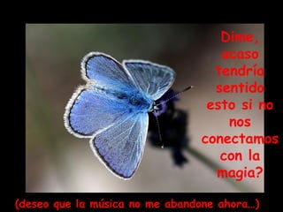 Dime, acaso tendría sentido esto si no nos conectamos con la magia? (deseo que la música no me abandone ahora…) 