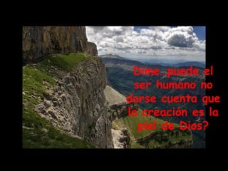 Dime…puede el ser humano no darse cuenta que la creación es la piel de Dios? 