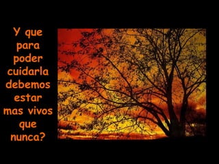 Y que para poder cuidarla debemos estar mas vivos que nunca? 
