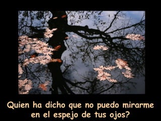 Quien ha dicho que no puedo mirarme en el espejo de tus ojos? 