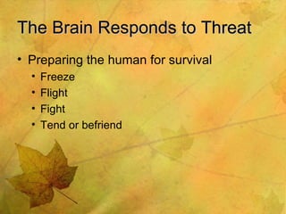 The Brain Responds to Threat Preparing the human for survival Freeze Flight Fight Tend or befriend 