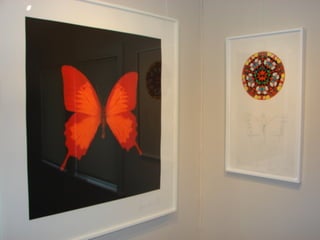 Damien Hirst Butterflies