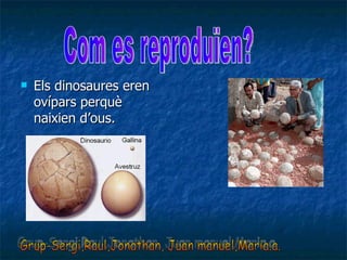 Els dinosaures eren ovípars perquè naixien d’ous. Grup-Sergi,Raul,Jonathan, Juan manuel,Maria.a. Com es reproduïen? 