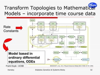 Transform Topologies to Mathematical Models – incorporate time course data SEDAGHAT,  et al .,  Am J Physiol Endocrinol Metab  283: E1084–E1101, 2002 . Rate Constants Model based in ordinary differential equations, ODEs Frank Doyle - UCSB 