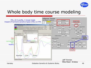 Whole body time course modeling 