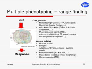 Multiple phenotyping – range finding 
