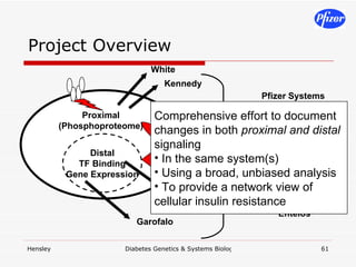 Project Overview White Fraenkel Garofalo Kennedy Responses Comprehensive effort to document changes in both  proximal and distal  signaling In the same system(s) Using a broad, unbiased analysis To provide a network view of cellular insulin resistance Lauffenburger F Doyle, J Doyle Petzold Entelos Pfizer Systems Biology (Cho) Distal TF Binding Gene Expression Proximal (Phosphoproteome) 