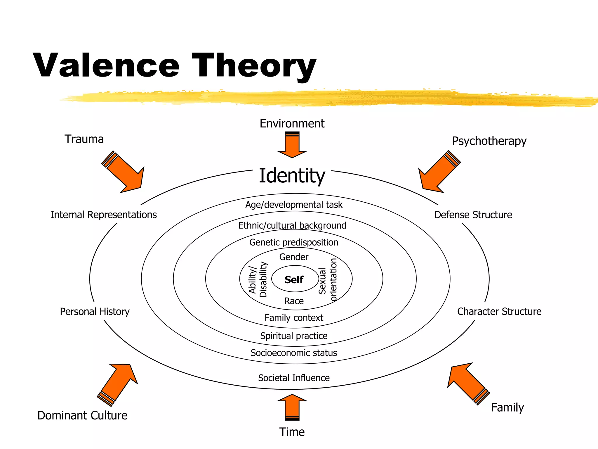 Valence Theory Identity Internal Representations Defense Structure Personal History Character Structure Trauma Environment Psychotherapy Family Dominant Culture Time Self Gender Genetic predisposition Ethnic/cultural background  Age/developmental task Family context Race Spiritual practice Socioeconomic status Societal Influence Sexual  orientation Ability/ Disability 