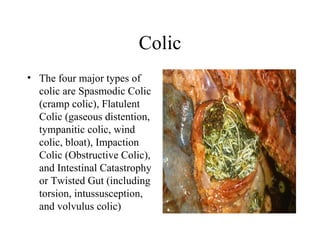 Colic Design Diseases And Disorders | PPT