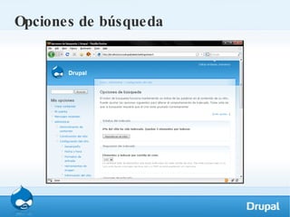 Opciones de búsqueda 