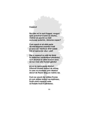 Ecaterina Tzaralunga Limite.Versuri