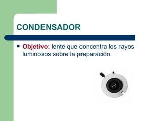 CONDENSADOR Objetivo:  lente que concentra los rayos luminosos sobre la preparación. 