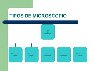 TIPOS DE MICROSCOPIO Tipos  de Microscopio. Microscopio  óptico. Microscopio simple. Microscopio compuesto. Microscopio  electrónico. Microscopio virtual. 