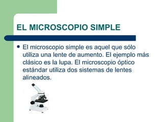 EL MICROSCOPIO SIMPLE El microscopio simple es aquel que sólo utiliza una lente de aumento. El ejemplo más clásico es la lupa. El microscopio óptico estándar utiliza dos sistemas de lentes alineados. 