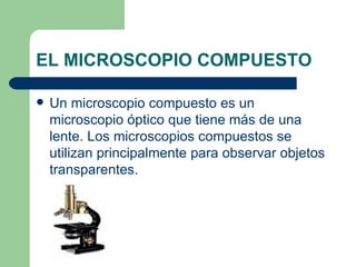 EL MICROSCOPIO COMPUESTO Un microscopio compuesto es un microscopio óptico que tiene más de una lente. Los microscopios compuestos se utilizan principalmente para observar objetos transparentes. 