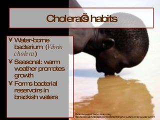 Cholera’s habits Water-borne bacterium  ( Vibrio cholera ) Seasonal: warm weather promotes growth Forms bacterial reservoirs in brackish waters Photo curteosy of Sudan Watch blog: http://sudanwatch.blogspot.com/2006/02/drilling-for-sudans-drinking-water-is.html 