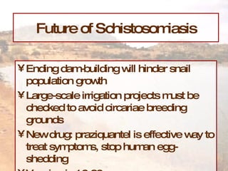 Future of Schistosomiasis Ending dam-building will hinder snail population growth Large-scale irrigation projects must be checked to avoid circariae breeding grounds New drug: praziquantel is effective way to treat symptoms, stop human egg-shedding Vaccine in 10-20 years 