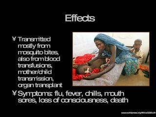 Effects Transmitted mostly from mosquito bites, also from blood transfusions, mother/child transmission, organ transplant Symptoms: flu, fever, chills, mouth sores, loss of consciousness, death www.worldpress.org/Africa/2293.cfm 