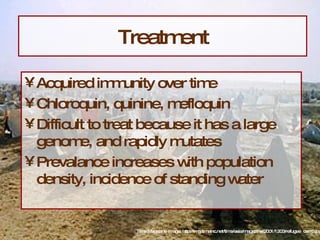 Treatment Acquired immunity over time Chloroquin, quinine, mefloquin Difficult to treat because it has a large genome, and rapidly mutates Prevalance increases with population density, incidence of standing water Time Magazine image: http://img.timeinc.net/time/asia/magazine/2001/1203/refugee_camp.jpg 