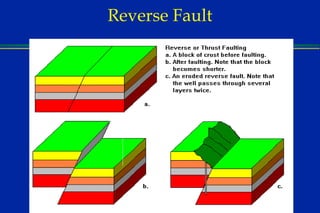 Reverse Fault 