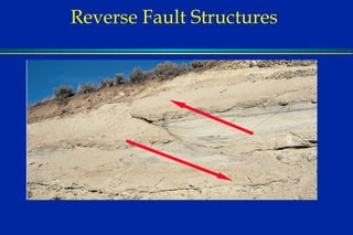 Reverse Fault Structures  