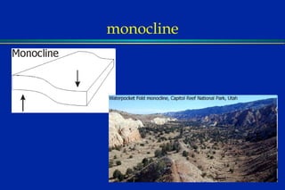 monocline 